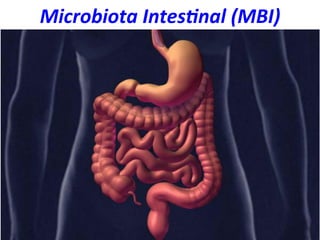 Microbiota	
  Intes:nal	
  (MBI)	
  
 