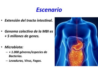 Escenario	
  
•  Extensión	
  del	
  tracto	
  intes:nal.	
  
•  Genoma	
  colec:vo	
  de	
  la	
  MBI	
  es	
  
+	
  5	
  millones	
  de	
  genes.	
  
•  Microbiota:	
  
–  +	
  1.000	
  géneros/especies	
  de	
  
Bacterias.	
  
–  Levaduras,	
  Virus,	
  Fagos.	
  
 