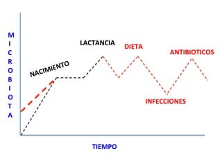 NACIMIENTO	
  
LACTANCIA	
  
DIETA	
  
ANTIBIOTICOS	
  
M
I
C
R
O
B
I
O
T
A
TIEMPO	
  
INFECCIONES	
  
 