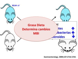 Dieta	
  	
  
Alta	
  en	
  Grasas	
  
Ambos:	
  
Firmicutes	
  	
  	
  	
  	
  	
  	
  	
  	
  	
  	
  é	
  
Proteobacterias	
  é	
  
Bacteroides	
  	
  	
  	
  	
  	
  	
  	
  	
  ê	
  
Grasa	
  Dieta	
  
Determina	
  cambios	
  
MBI	
  
Gastroenterology.	
  2009;137:1716-­‐1724.	
  
RELM-­‐B	
  
 