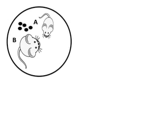 A	
  
B	
  
 