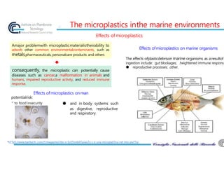 Effects ofmicroplastics on man
potentialrisk:
to food insecurity ● and in body systems such
as digestive, reproductive
and respiratory.
The micropIastics inthe marine environments
Effects ofmicroplastics
Effects ofmicroplastics on marine organisms
The effects ofplasticdebrison marine organisms as a resultof
ingestion include: .gut blockages; .heightened immune respons
● reproductive processes; .other.
consequently, the microplastic can potentially cause
diseases such as cancer,a malformation in animals and
humans, impaired reproductive activity, and reduced immune
response.
Amajor problemwith microplasticmaterialistheirability to
adsorb other common environmentalcontaminants, such as
metals,pharmaceuticals, personalcare products and others
*hTTpS://www.barillacfn. com/iT/magazine/cibo-e-SoSTenibiliTa/aiuTo-c-e-una-microplaSTica-nel-mio-piaTTo/
●
 