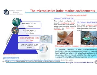 The micropIastics inthe marine environments
Type of microplastics(MP)
PRlMARY MlcROPLASTlcS
They include small pieces of
"a material consisting of solid polymer-containing
particlesI to which additives or other substances mayhave
been addedI and where≥1% w/wofparticles have(i) all
dimensions 1nm≤x≤5mmI or(ii)I for fibresI a length o
3nm≤x≤15mmand length to diameter ratio of>3.”
NANOPLASTICS (MP)
<1mm*
http://www.unoosa.org/documents/pdf/psa/activities/2018/pakistanConference/presentations/7-FUNMILOLA—OLUWAFEMI—NASRDA-
SEcONDARY MlcROPLAST
They include smallpieces of pla
derived from the deterioration
larger plasticwaste both at sea
on land.
specially manufactured plastic,
such as hand and facialcleansers,
shower gels, toothpaste, industrial
scrubbers, and plastic micro-
nanospheres, etc.
MACROPLASTICS
≥25mm
MESOPLASTICS
<25 - 5mm
MICROPLASTICS (MP)
<5 - 1mm
* Revisited by the author.
*https://journals.openedition.org/
**https://www.nurdlehunt.org.uk/
***
Microplastics(MP)for European Chemical Agency(ECHA
MICROpLASTICS —AS —ENVIRONMENTAL— STRESSOR—
AND—
THREAT—
TO—
HUMAN—
AND—
SEA—
LIFE.pdf
 