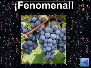 ¡Fenomenal!
 
