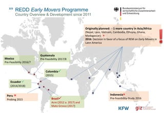 REDD Early Movers Programme
11
Originally planned: - 1 more country in Asia/Africa
(Nepal, Laos, Vietnam, Cambodia, Ethopia, Ghana,
Madagascar): 
2016: Decision in favor of a focus of REM on Early Movers in
Latin America
Brazil
Acre (2012 a. 2017) and
Mato Grosso (2017)
Peru 
Probing 2015
Indonesia
Pre-Feasibility-Study 2016
Ecuador 
(2014/2018)
Colombia
(2015)
Mexico
Pre-Feasibility 2016/7
Guatemala
Pre-Feasibility 2017/8
Country Overview & Development since 2011
 