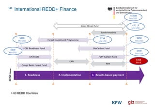 >$ 1 ,3
Mrd USD
Fundo Amazônia
Congo Basin Forest Fund
UN-REDD
FCPF Readiness Fund
Forest Investment Programme
FCPF Carbon Fund
1. Readiness
BioCarbon Fund
2. Implementation 2. Results-based payment
REM
Green Climate Fund
REDDPhase
$400
Mio USD
$900
Mio USD
$350
Mio USD
$754
Mio USD
$318
Mio USD
> 60 REDD Countries
CAFI
3.
$312
Mio €
International REDD+ Finance
> $ 500
Mio USD
 