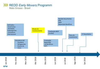 Jan2018
Fev2018
Mar2018
Abr2018
Mai2018
Jun2018
Jul2018
Ago2018
Set2018
Definições:
-Governança
-Atividades
Subprogramas
-Consultoria
Internacional
Consultoria GIZ
- Ouvidoria
- Salvaguardas
- Analise de
riscos
Finalização MOP
(Funbio)
Missão de
monitoramento
Finalização
Repartição
de Benefícios
(MT)
Revisão Documentos
KfW
MOP
Repartição Benefícios
Plano de
Investimento
1º Desembolso
REDD Early Movers Programm
Mato Grosso - Brasil
 
