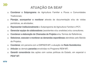 o Coordenar o Subprograma de Agricultura Familiar e Povos e Comunidades
Tradicionais;
o Planejar, acompanhar e monitorar através de documentação e/ou de visitas
periódicas, as atividades;
o Representar institucionalmente o Subprograma de Agricultura Familiar e PCT;
o Gerenciar equipe de colaboradores (assistentes e/ou analistas) e/ou consultores;
o Coordenar a elaboração de Chamadas de Projetos e/ou Termos de Referência;
o Selecionar, executar e monitorar as demandas espontâneas atendidas pelo Balcão
de Projetos;
o Coordenar, em parceria com a EMPAER-MT, a atuação da Rede Sociotécnica;
o Articular as demais parcerias envolvidas no Programa REM MT;
o Garantir consonância das ações com outras políticas do Estado, em especial o
PEAF MT.
ATUAÇÃO DA SEAF
 