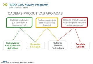 Cadeias produtivas
que valorizam a
floresta em pé
Cadeias produtivas
para restauração
florestal
Cadeias produtivas que
exercem pressão sobre
o desmatamento
Extrativismo
Não Madeireiro
Apicultura
Sementes
Florestais
Culturas
Perenes
Fruticultura
Pecuária
Leiteira
CADEIAS PRODUTIVAS APOIADAS
Projeto REDD for Early Movers Mato Grosso (REM MT)
REDD Early Movers Programm
Mato Grosso - Brasil
 