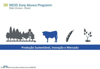 Produção Sustentável, Inovação e Mercado
Projeto REDD for Early Movers Mato Grosso (REM MT)
REDD Early Movers Programm
Mato Grosso - Brasil
 