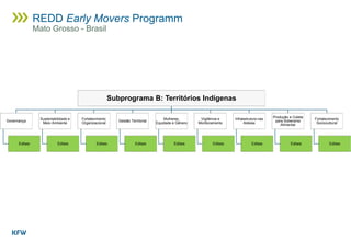 Subprograma B: Territórios Indígenas
Governança
Editais
Sustentabilidade e
Meio Ambiente
Editais
Fortalecimento
Organizacional
Editais
Gestão Territorial
Editais
Mulheres,
Equidade e Gênero
Editais
Vigilância e
Monitoramento
Editais
Infraestrutura nas
Aldeias
Editais
Produção e Coleta
para Soberania
Alimentar
Editais
Fortalecimento
Sociocultural
Editais
REDD Early Movers Programm
Mato Grosso - Brasil
 