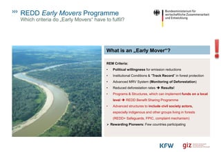 REDD Early Movers Programme
Which criteria do „Early Movers“ have to fulfil?
REM Kriterien!
What is an „Early Mover“?
REM Criteria:
• Political willingness for emission reductions
• Institutional Conditions & “Track Record” in forest protection
• Advanced MRV System (Monitoring of Deforestation)
• Reduced deforestation rates ➔ Results!
• Programs & Structures, which can implement funds on a local
level ➔ REDD Benefit Sharing Programme
• Advanced structures to include civil society actors,
especially indigenous and other groups living in forests
(REDD+ Safeguards, FPIC, complaint mechanism)
➢ Rewarding Pioneers: Few countries participating
 