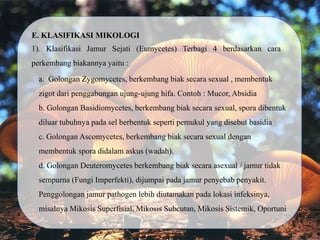 E. KLASIFIKASI MIKOLOGI
1). Klasifikasi Jamur Sejati (Eumycetes) Terbagi 4 berdasarkan cara
perkembang biakannya yaitu :
a. Golongan Zygomycetes, berkembang biak secara sexual , membentuk
zigot dari penggabungan ujung-ujung hifa. Contoh : Mucor, Absidia
b. Golongan Basidiomycetes, berkembang biak secara sexual, spora dibentuk
diluar tubuhnya pada sel berbentuk seperti pemukul yang disebut basidia
c. Golongan Ascomycetes, berkembang biak secara sexual dengan
membentuk spora didalam askus (wadah).
d. Golongan Deuteromycetes berkembang biak secara asexual / jamur tidak
sempurna (Fungi Imperfekti), dijumpai pada jamur penyebab penyakit.
Penggolongan jamur pathogen lebih diutamakan pada lokasi infeksinya,
misalnya Mikosis Superfisial, Mikosis Subcutan, Mikosis Sistemik, Oportuni
 