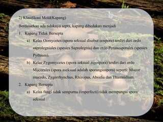 2) Klasifikasi Mold(Kapang)
Berdasarkan ada tidaknya septa, kapang dibedakan menjadi
1. Kapang Tidak Bersepta
a) Kelas Oomycetes (spora seksual disebut oospora) terdiri dari ordo
saprolegniales (spesies Saprolegnia) dan ordo Peronosporales (spesies
Pythium).
b) Kelas Zygomycetes (spora seksual zigospora) terdiri dari ordo
Mucorales (spora aseksual adalah sporangiospora) seperti: Mucor
mucedo, Zygorrhynchus, Rhizopus, Absidia dan Thamnidium.
2. Kapang Bersepta
a) Kelas fungi tidak sempurna (imperfecti) tidak mempungai spora
seksual
 