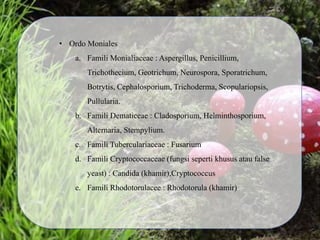 • Ordo Moniales
a. Famili Monialiaceae : Aspergillus, Penicillium,
Trichothecium, Geotrichum, Neurospora, Sporatrichum,
Botrytis, Cephalosporium, Trichoderma, Scopulariopsis,
Pullularia.
b. Famili Dematiceae : Cladosporium, Helminthosporium,
Alternaria, Stempylium.
c. Famili Tuberculariaceae : Fusarium
d. Famili Cryptococcaceae (fungsi seperti khusus atau false
yeast) : Candida (khamir),Cryptococcus
e. Famili Rhodotorulacee : Rhodotorula (khamir)
 