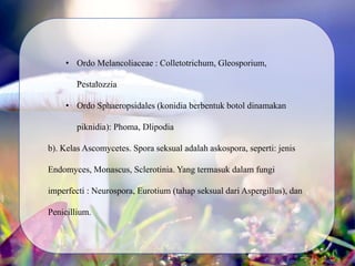 • Ordo Melancoliaceae : Colletotrichum, Gleosporium,
Pestalozzia
• Ordo Sphaeropsidales (konidia berbentuk botol dinamakan
piknidia): Phoma, Dlipodia
b). Kelas Ascomycetes. Spora seksual adalah askospora, seperti: jenis
Endomyces, Monascus, Sclerotinia. Yang termasuk dalam fungi
imperfecti : Neurospora, Eurotium (tahap seksual dari Aspergillus), dan
Penicillium.
 