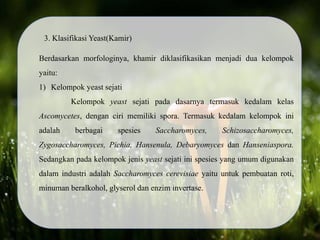 3. Klasifikasi Yeast(Kamir)
Berdasarkan morfologinya, khamir diklasifikasikan menjadi dua kelompok
yaitu:
1) Kelompok yeast sejati
Kelompok yeast sejati pada dasarnya termasuk kedalam kelas
Ascomycetes, dengan ciri memiliki spora. Termasuk kedalam kelompok ini
adalah berbagai spesies Saccharomyces, Schizosaccharomyces,
Zygosaccharomyces, Pichia, Hansenula, Debaryomyces dan Hanseniaspora.
Sedangkan pada kelompok jenis yeast sejati ini spesies yang umum digunakan
dalam industri adalah Saccharomyces cerevisiae yaitu untuk pembuatan roti,
minuman beralkohol, glyserol dan enzim invertase.
 