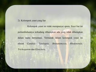 2). Kelompok yeast yang liar
Kelompok yeast ini tidak mempunyai spora. Yeast liar ini
pertumbuhannya terkadang diharapkan ada yang tidak diharapkan
dalam suatu fermentasi. Termasuk dalam kelompok yeast ini
adalah Candida, Torulopsis, Brettanomyces, Rhodotorula,
Trichosporon dan Kloeckera.
 