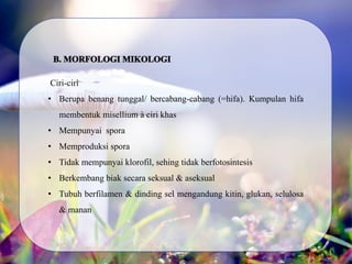Ciri-ciri
• Berupa benang tunggal/ bercabang-cabang (=hifa). Kumpulan hifa
membentuk misellium à ciri khas
• Mempunyai spora
• Memproduksi spora
• Tidak mempunyai klorofil, sehing tidak berfotosintesis
• Berkembang biak secara seksual & aseksual
• Tubuh berfilamen & dinding sel mengandung kitin, glukan, selulosa
& manan
 