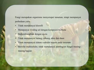 Fungi merupakan organisme menyerupai tanaman, tetapi mempunyai
perbedaan yaitu :
• Tidak mempunyai klorofil
• Mempunyai dinding sel dengan komposisi berbeda
• Berkembangbiak dengan spora
• Tidak mempunyai batang, cabang, akar dan daun
• Tidak mempunyai sistem vaskuler seperti pada tanaman
• Bersifat multiseluler, tidak mempunyai pembagian fungsi masing-
masing bagian
 