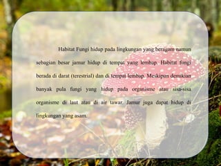 Habitat Fungi hidup pada lingkungan yang beragam namun
sebagian besar jamur hidup di tempat yang lembap. Habitat fungi
berada di darat (terestrial) dan di tempat lembap. Meskipun demikian
banyak pula fungi yang hidup pada organisme atau sisa-sisa
organisme di laut atau di air tawar. Jamur juga dapat hidup di
lingkungan yang asam.
 