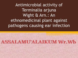 Antimicrobial activity of
Terminalia arjuna
Wight & Arn.: An
ethnomedicinal plant against
pathogens causing ear infection
 