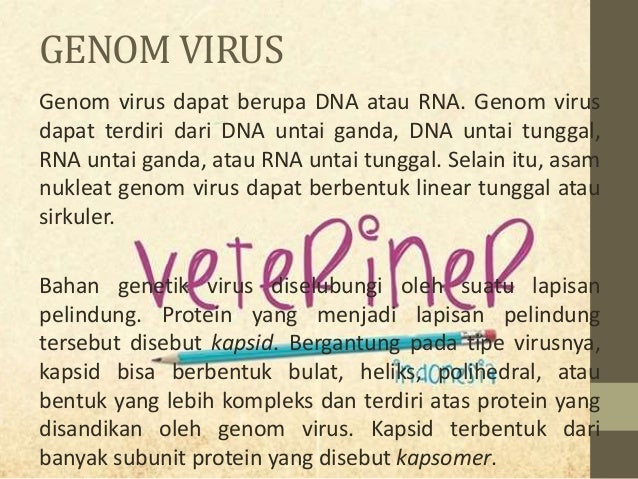 Genom virus terdiri atas