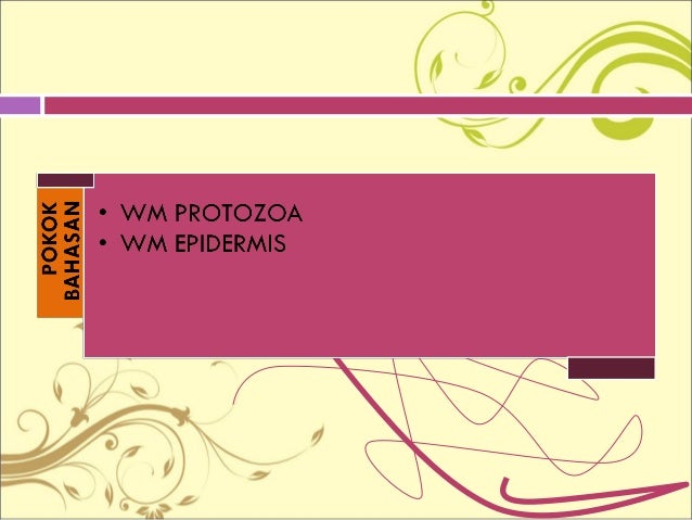 Ppt Mikroteknik Whole Mount Protozoa dan Whole Mount Epidermis