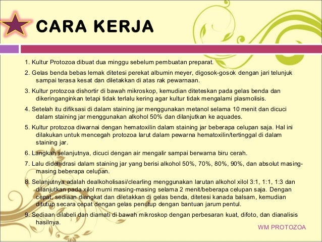 Ppt Mikroteknik Whole Mount Protozoa dan Whole Mount Epidermis