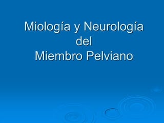 Miología y Neurología
del
Miembro Pelviano
 