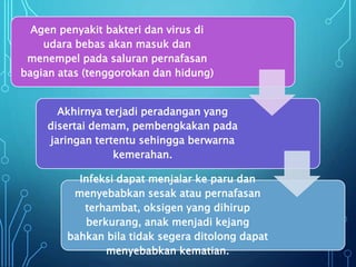 Agen penyakit bakteri dan virus di
udara bebas akan masuk dan
menempel pada saluran pernafasan
bagian atas (tenggorokan dan hidung)
Akhirnya terjadi peradangan yang
disertai demam, pembengkakan pada
jaringan tertentu sehingga berwarna
kemerahan.
Infeksi dapat menjalar ke paru dan
menyebabkan sesak atau pernafasan
terhambat, oksigen yang dihirup
berkurang, anak menjadi kejang
bahkan bila tidak segera ditolong dapat
menyebabkan kematian.
 