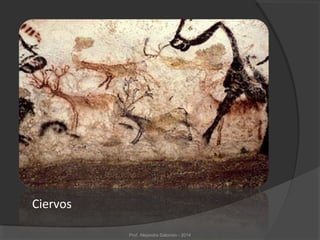 Ciervos
Prof. Alejandra Salomón - 2014
 