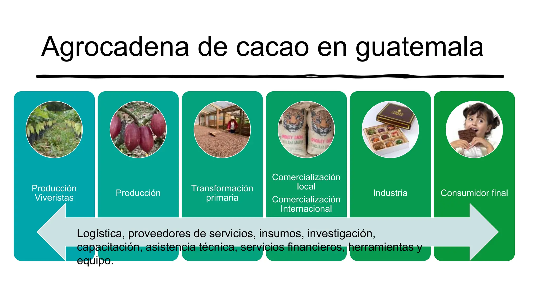 PPT MODELO CACAO GUATE peten 2024, variedades PPT