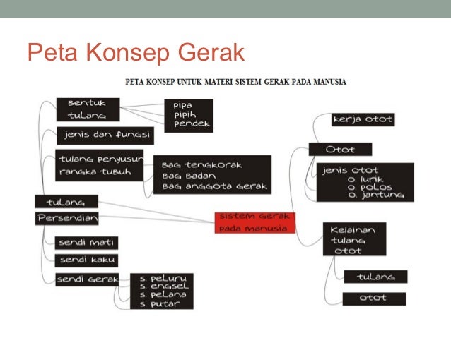 Ppt model webbed