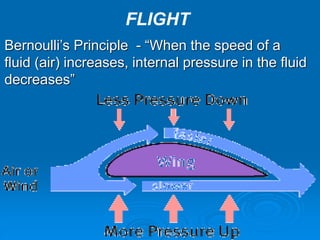 Bernoulli’s Principle - “When the speed of a
fluid (air) increases, internal pressure in the fluid
decreases”
FLIGHT
 