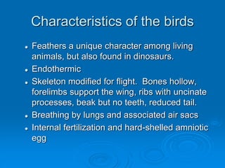 Characteristics of the birds
 Feathers a unique character among living
animals, but also found in dinosaurs.
 Endothermic
 Skeleton modified for flight. Bones hollow,
forelimbs support the wing, ribs with uncinate
processes, beak but no teeth, reduced tail.
 Breathing by lungs and associated air sacs
 Internal fertilization and hard-shelled amniotic
egg
 