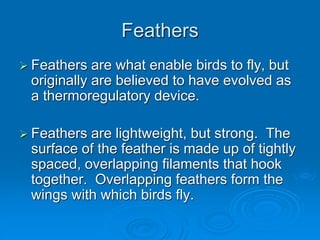 Feathers
 Feathers are what enable birds to fly, but
originally are believed to have evolved as
a thermoregulatory device.
 Feathers are lightweight, but strong. The
surface of the feather is made up of tightly
spaced, overlapping filaments that hook
together. Overlapping feathers form the
wings with which birds fly.
 