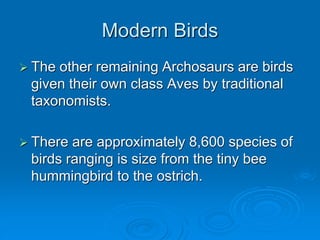 Modern Birds
 The other remaining Archosaurs are birds
given their own class Aves by traditional
taxonomists.
 There are approximately 8,600 species of
birds ranging is size from the tiny bee
hummingbird to the ostrich.
 