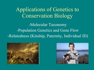 Applications of Genetics to Conservation Biology -Molecular Taxonomy -Population Genetics and Gene Flow -Relatedness (Kinship, Paternity, Individual ID) 
