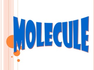 MOLECULE 