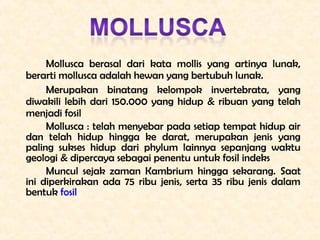 Mollusca berasal dari kata mollis yang artinya lunak,
berarti mollusca adalah hewan yang bertubuh lunak.
     Merupakan bi...