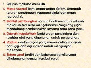 • Seluruh mollusca memiliki;
1. Massa visceral berisi organ-organ dalam, termasuk
   saluran pencernaan, sepasang ginjal d...