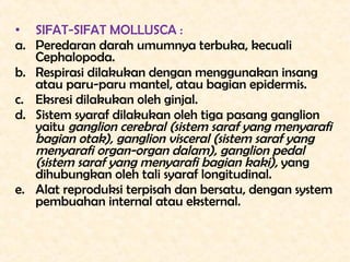 • SIFAT-SIFAT MOLLUSCA :
a. Peredaran darah umumnya terbuka, kecuali
   Cephalopoda.
b. Respirasi dilakukan dengan menggun...