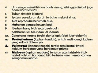 4.  Umumnya memiliki dua buah insang, sehingga disebut juga
    Lamellibranchiata.
5. Tubuh simetris bilateral
6. System p...
