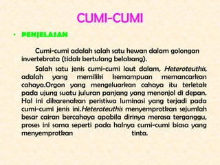 CUMI-CUMI
• PENJELASAN

     Cumi-cumi adalah salah satu hewan dalam golongan
 invertebrata (tidak bertulang belakang).
  ...