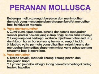 Beberapa mollusca sangat berperan dan menimbulkan
   dampak yang menguntungkan ataupun bersifat merugikan
   bagi kehidupa...