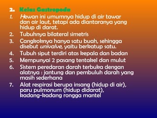 2. Kelas Gastropoda
1. Hewan ini umumnya hidup di air tawar
dan air laut, tetapi ada diantaranya yang
hidup di darat.
2. Tubuhnya bilateral simetris
3. Cangkoknya hanya satu buah, sehingga
disebut univalve, yaitu berkatup satu.
4. Tubuh siput terdiri atas kepala dan badan
5. Mempunyai 2 pasang tentakel dan mulut
6. Sistem peredaran darah terbuka dengan
alatnya : jantung dan pembuluh darah yang
masih sederhana
7. Alat respirasi berupa insang (hidup di air),
paru pulmonum (hidup didarat),
kadang-kadang rongga mantel
 