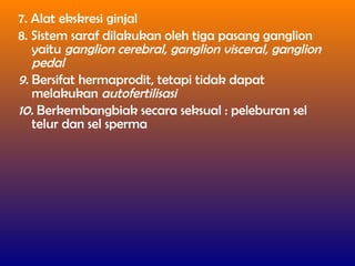 7. Alat ekskresi ginjal
8. Sistem saraf dilakukan oleh tiga pasang ganglion
yaitu ganglion cerebral, ganglion visceral, ganglion
pedal
9. Bersifat hermaprodit, tetapi tidak dapat
melakukan autofertilisasi
10. Berkembangbiak secara seksual : peleburan sel
telur dan sel sperma
 