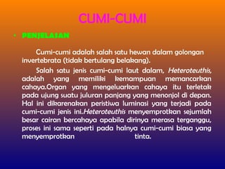 • PENJELASAN
Cumi-cumi adalah salah satu hewan dalam golongan
invertebrata (tidak bertulang belakang).
Salah satu jenis cumi-cumi laut dalam, Heteroteuthis,
adalah yang memiliki kemampuan memancarkan
cahaya.Organ yang mengeluarkan cahaya itu terletak
pada ujung suatu juluran panjang yang menonjol di depan.
Hal ini dikarenakan peristiwa luminasi yang terjadi pada
cumi-cumi jenis ini.Heteroteuthis menyemprotkan sejumlah
besar cairan bercahaya apabila dirinya merasa terganggu,
proses ini sama seperti pada halnya cumi-cumi biasa yang
menyemprotkan tinta.
CUMI-CUMI
 