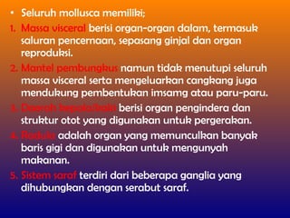 • Seluruh mollusca memiliki;
1. Massa visceral berisi organ-organ dalam, termasuk
saluran pencernaan, sepasang ginjal dan organ
reproduksi.
2. Mantel pembungkus namun tidak menutupi seluruh
massa visceral serta mengeluarkan cangkang juga
mendukung pembentukan imsamg atau paru-paru.
3. Daerah kepala/kaki berisi organ pengindera dan
struktur otot yang digunakan untuk pergerakan.
4. Radula adalah organ yang memunculkan banyak
baris gigi dan digunakan untuk mengunyah
makanan.
5. Sistem saraf terdiri dari beberapa ganglia yang
dihubungkan dengan serabut saraf.
 